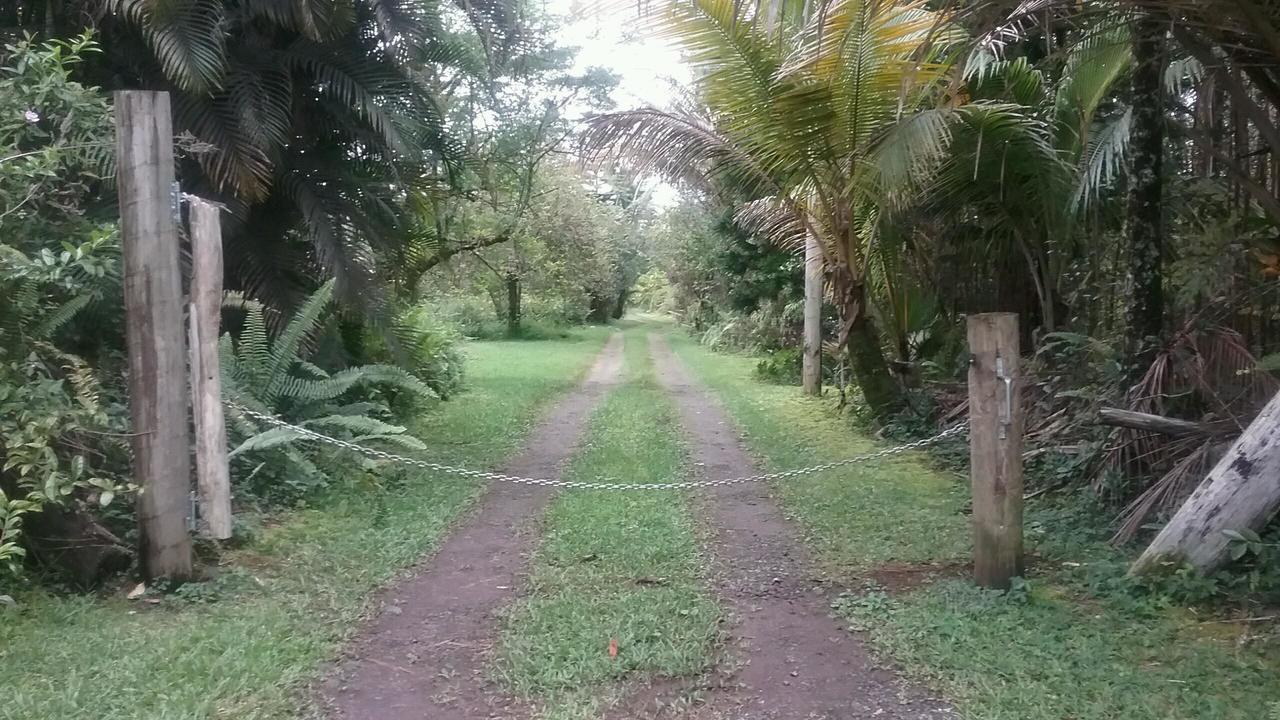 Hawaii Tropical Volcano mansion + Sauna Hilo Esterno foto